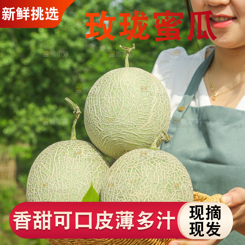 手里拿着玫珑网纹瓜