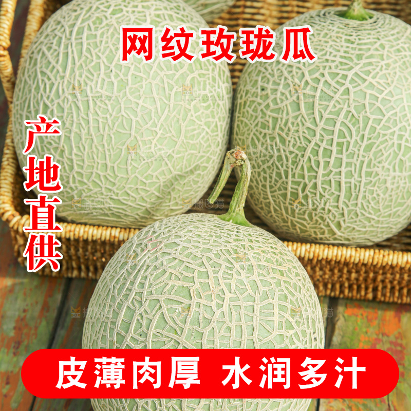 桌子上放着玫珑网纹瓜