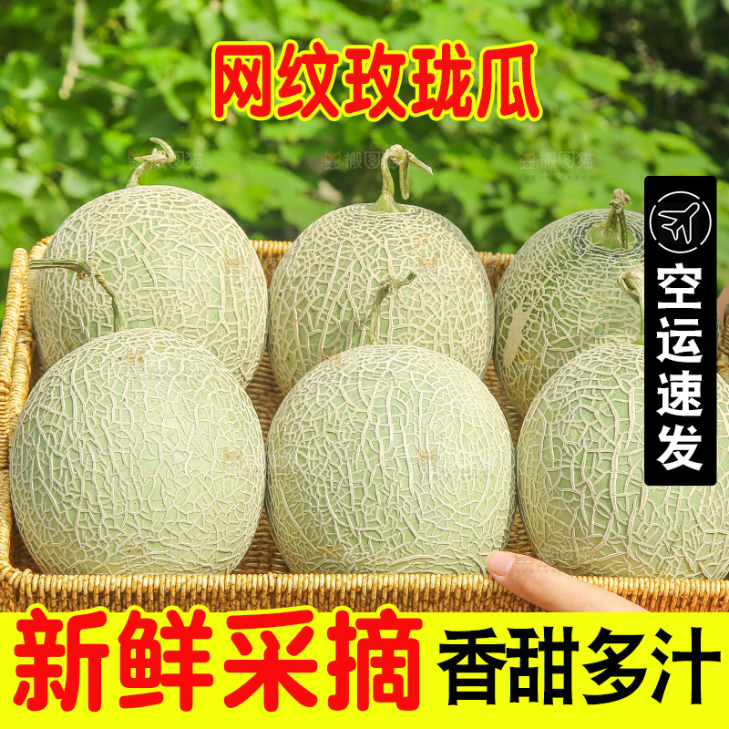 手里拿着网纹蜜瓜