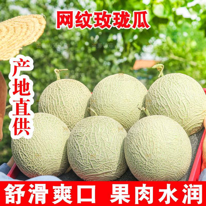 手里拿着玫珑网纹瓜