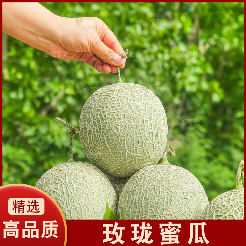 桌子上放着玫珑网纹瓜