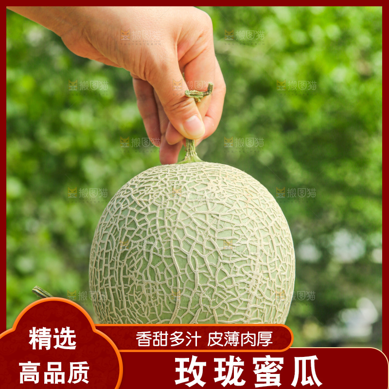 桌子上放着玫珑网纹瓜