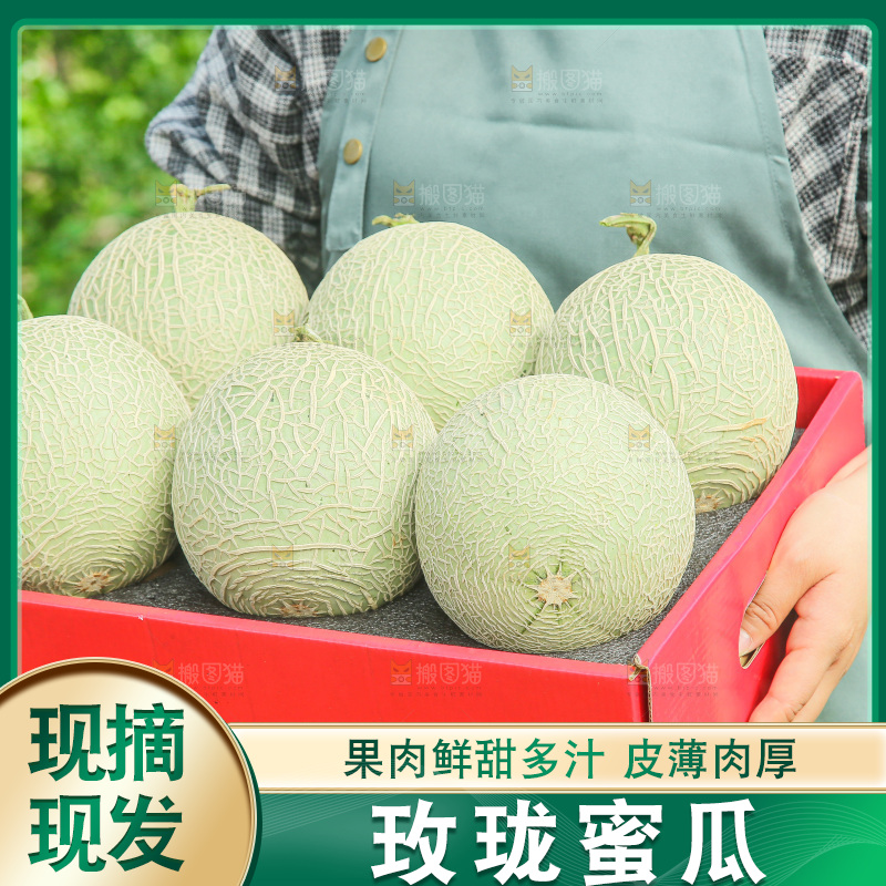 手里拿着玫珑网纹瓜