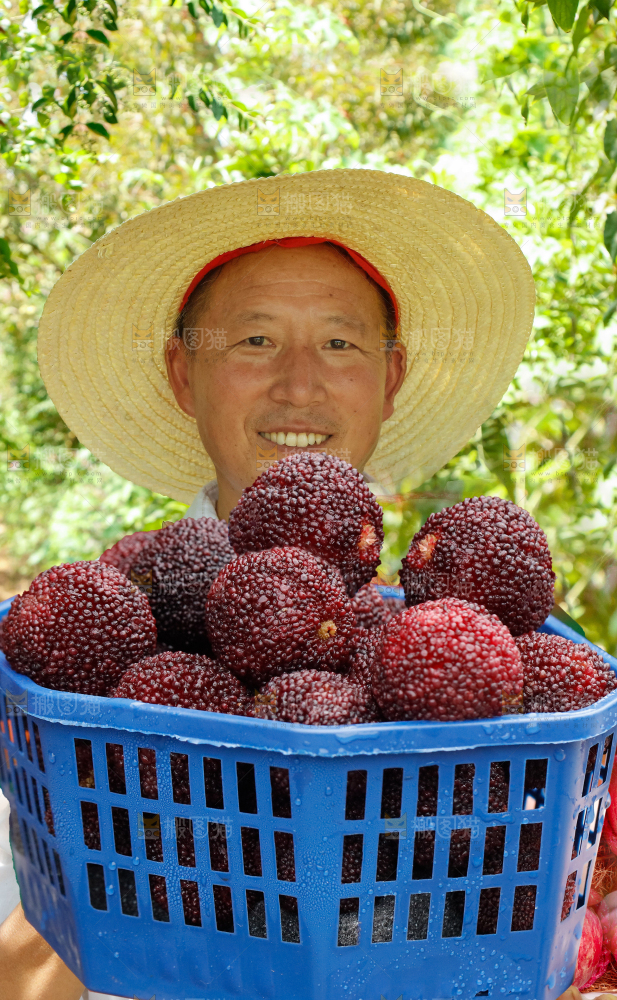 手里拿着新鲜杨梅