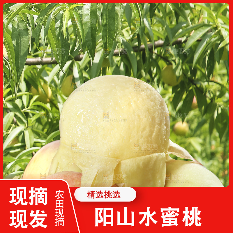 桌子上放着阳山水蜜桃