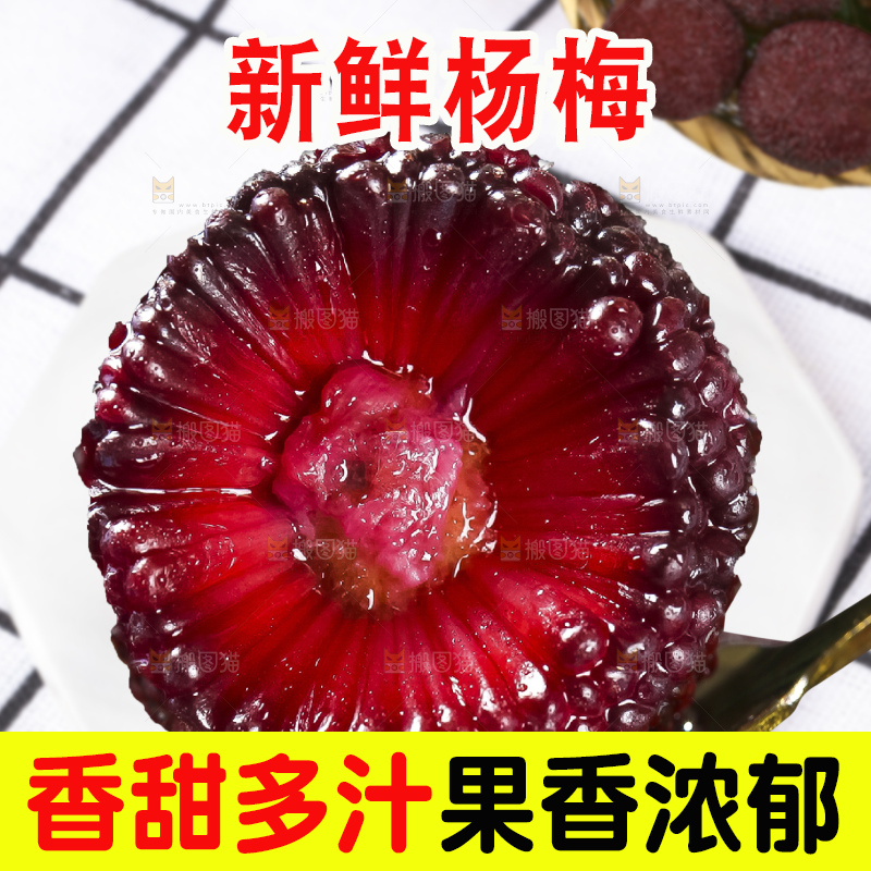 浅底上的大杨梅