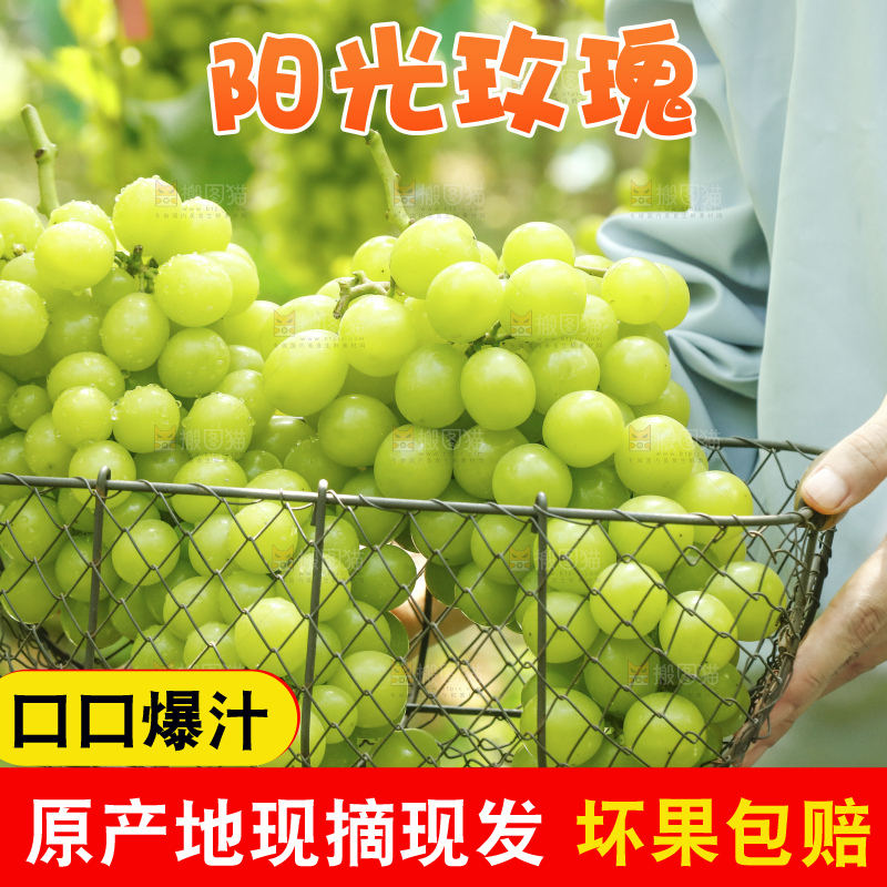 手里拿着阳光玫瑰