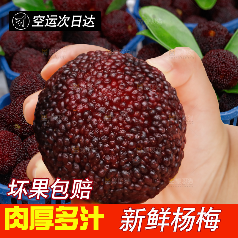 手里拿着新鲜杨梅