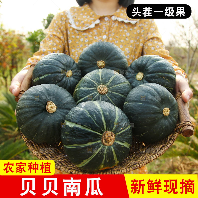 贝贝南瓜