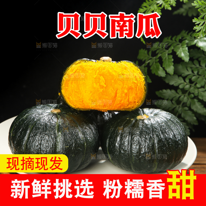 贝贝南瓜