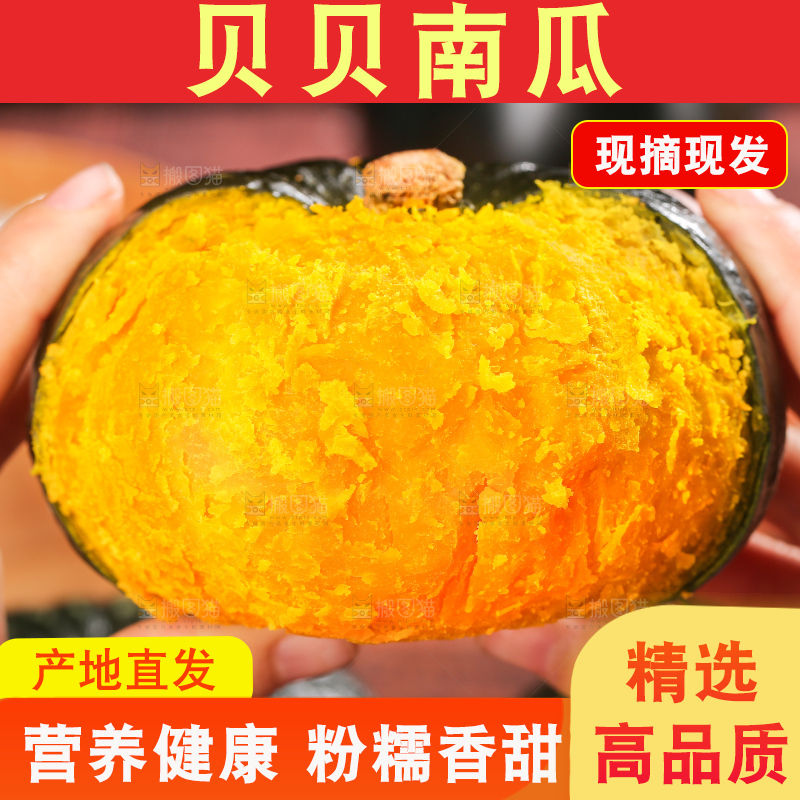 贝贝南瓜