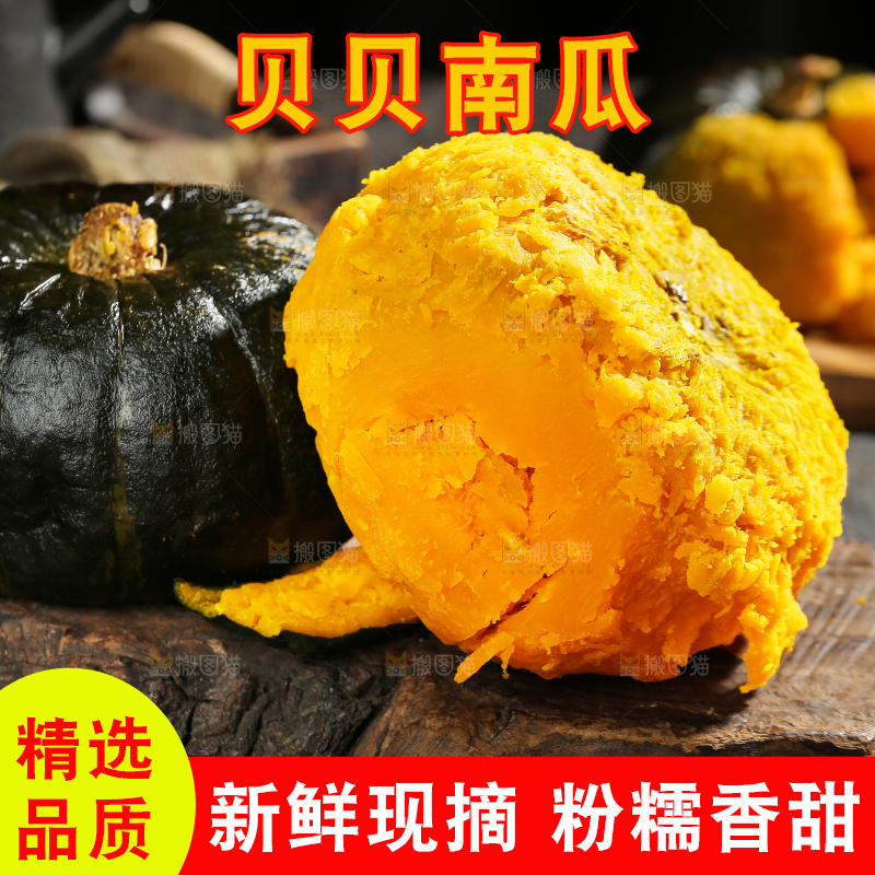 贝贝南瓜