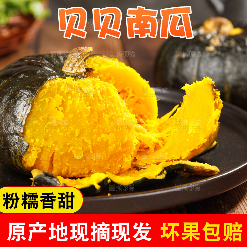贝贝南瓜