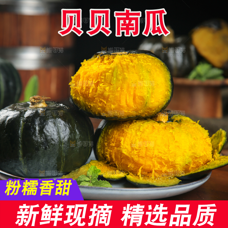 贝贝南瓜