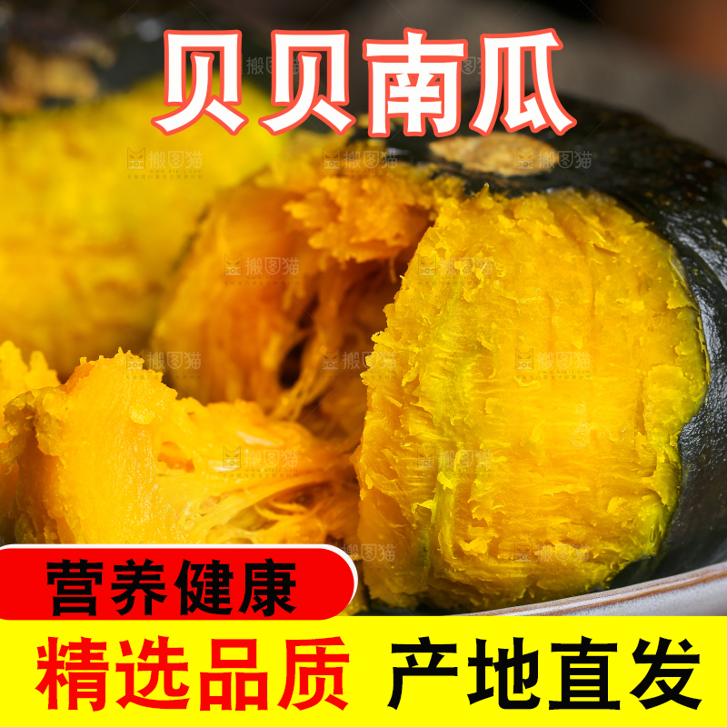 贝贝南瓜