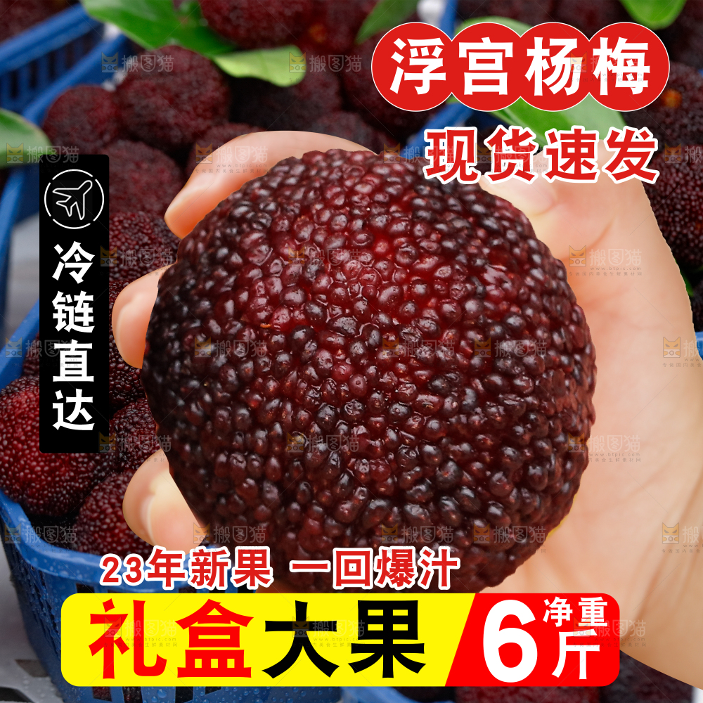 东魁杨梅主图