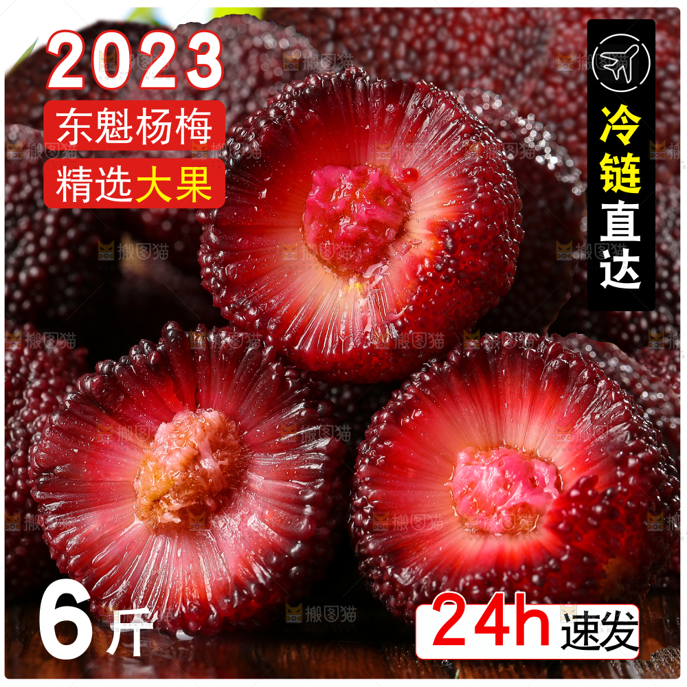 东魁杨梅主图