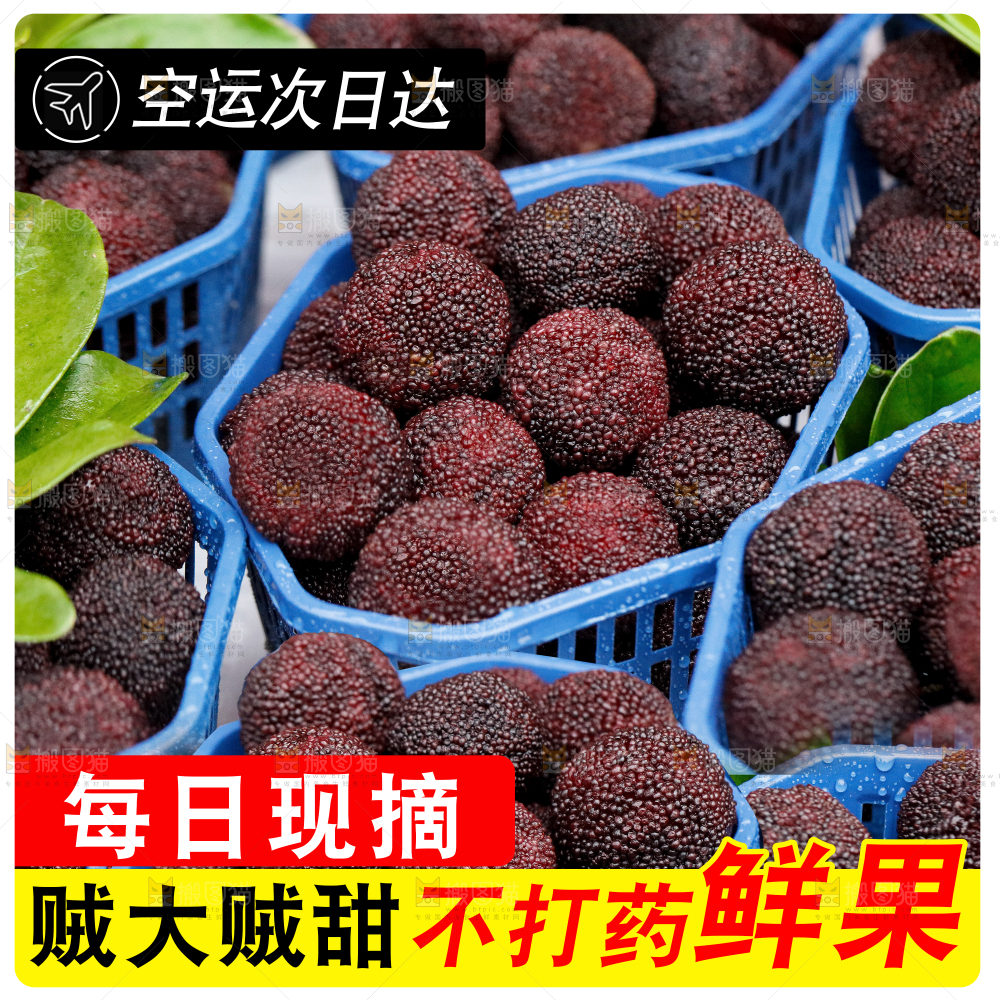 新鲜东魁杨梅主图