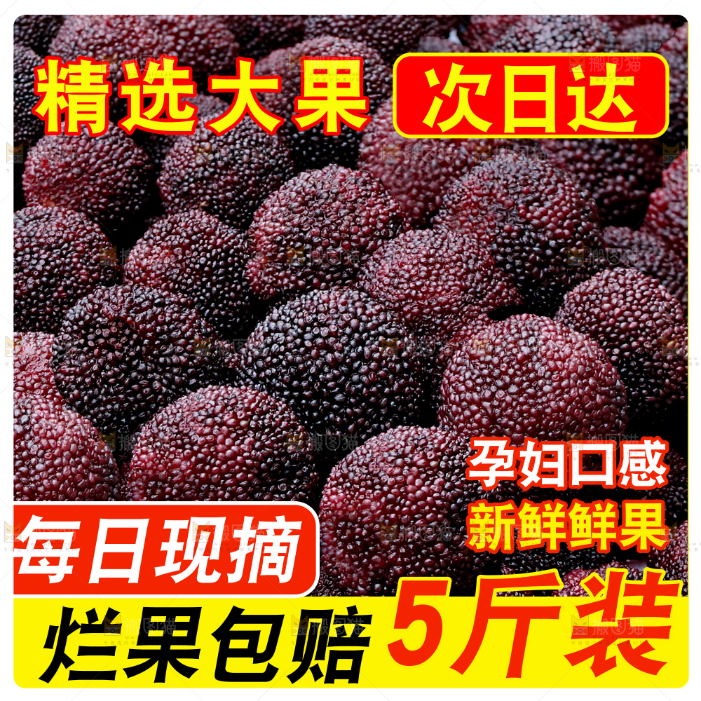 新鲜东魁杨梅主图