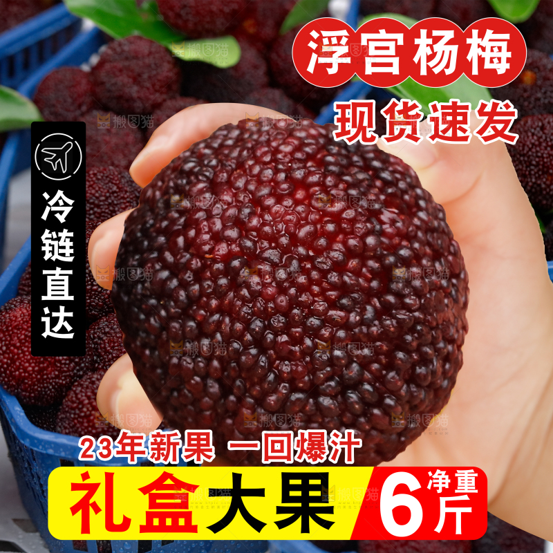 东魁杨梅主图