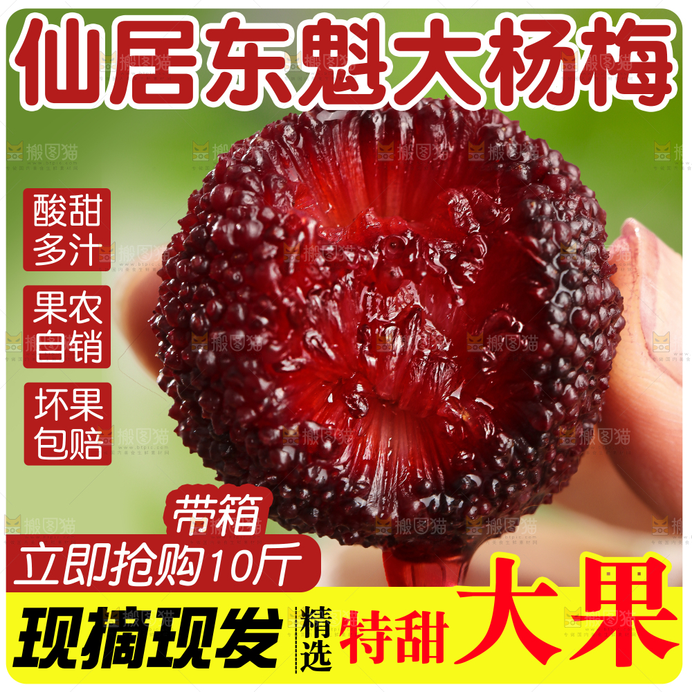 新鲜东魁杨梅主图