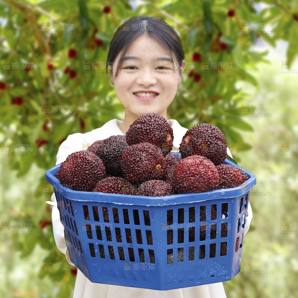 手里拿着新鲜大杨梅