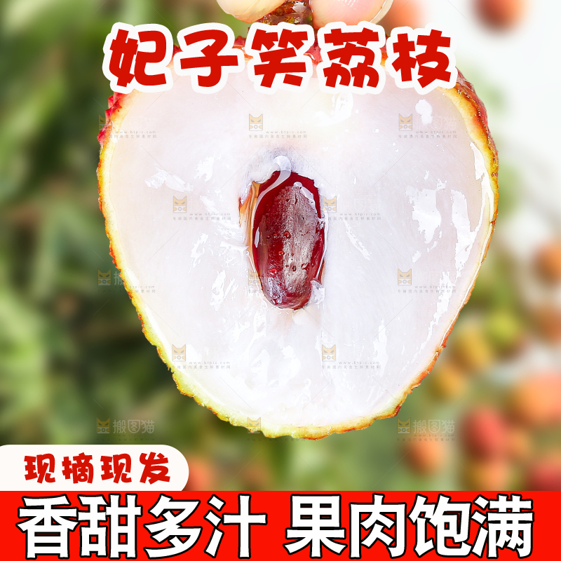 浅底上的妃子笑荔枝