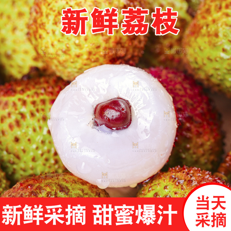 浅底上的妃子笑