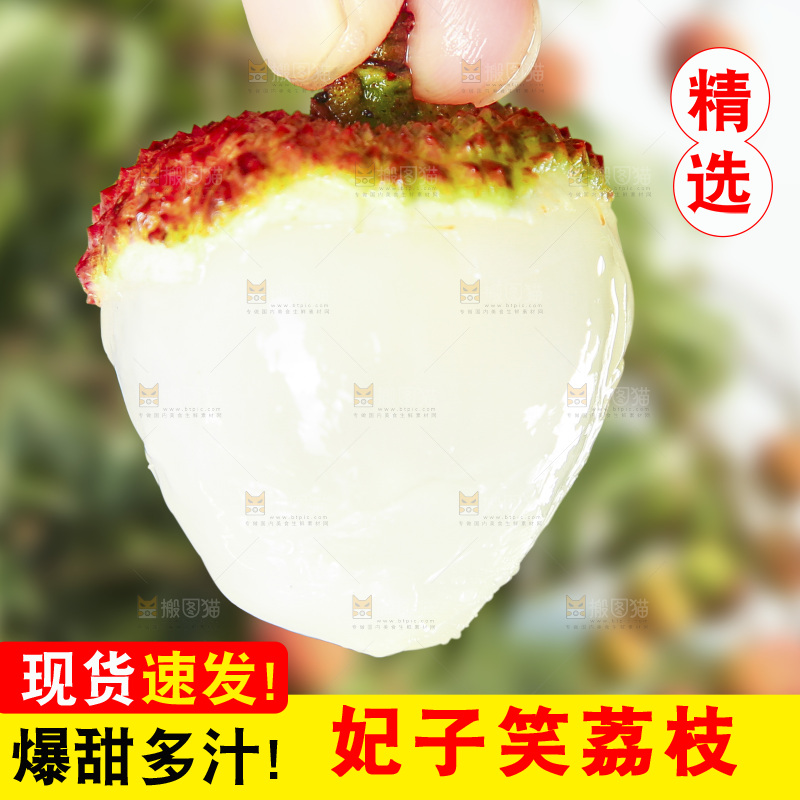 浅底上的妃子笑荔枝
