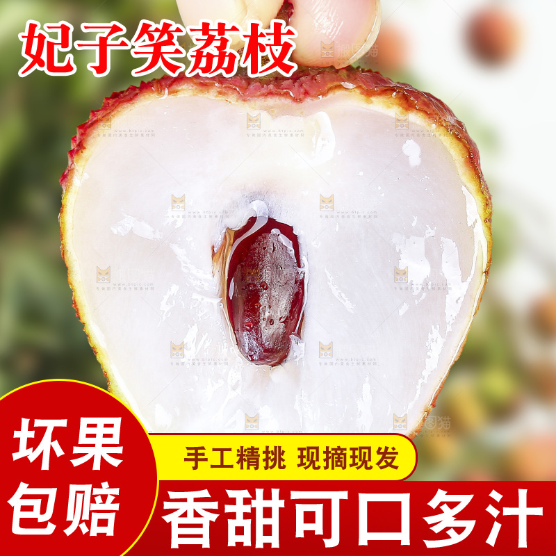 浅底上的妃子笑