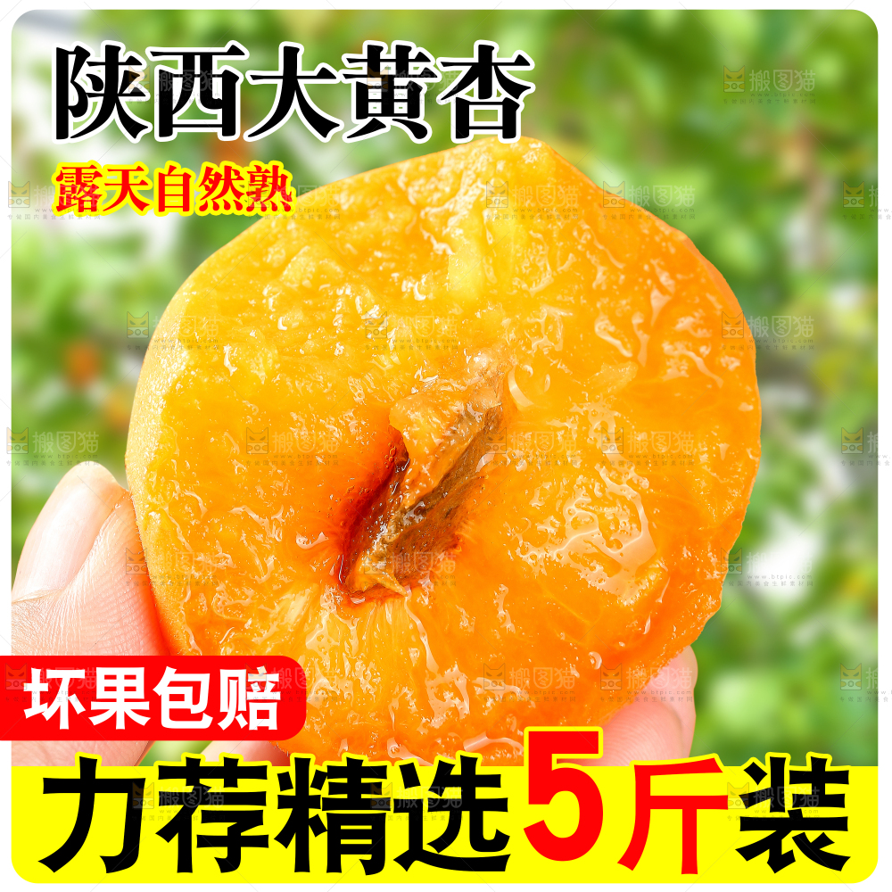 新鲜大黄杏主图