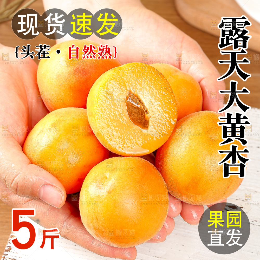 新鲜大黄杏主图