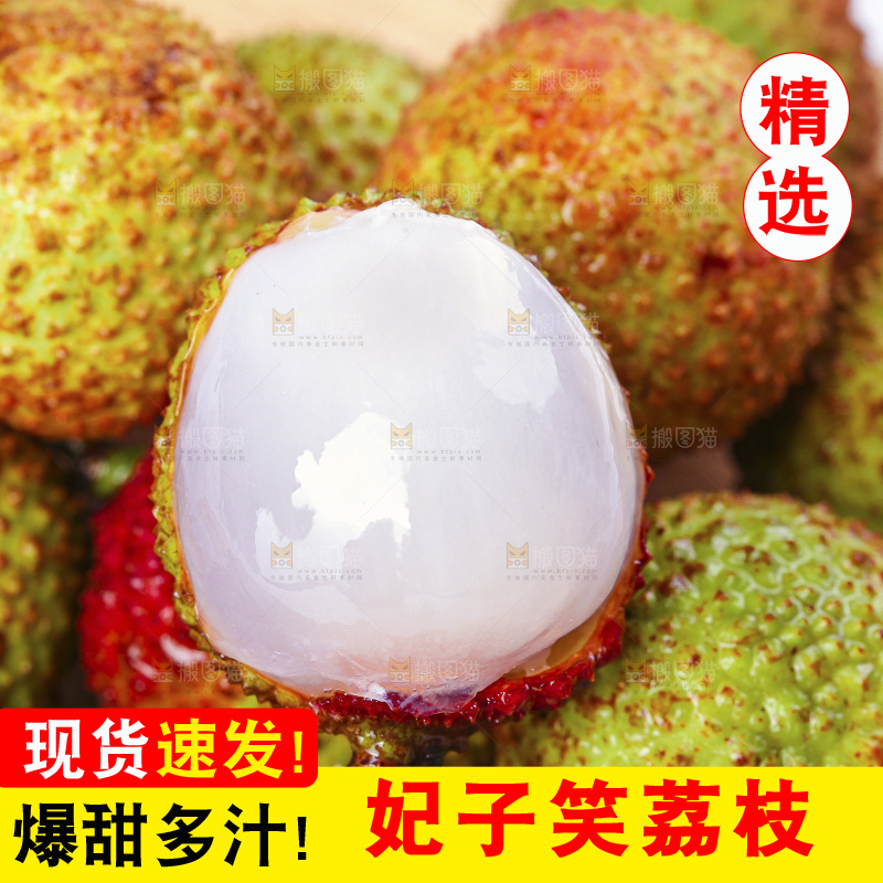 浅底上的妃子笑
