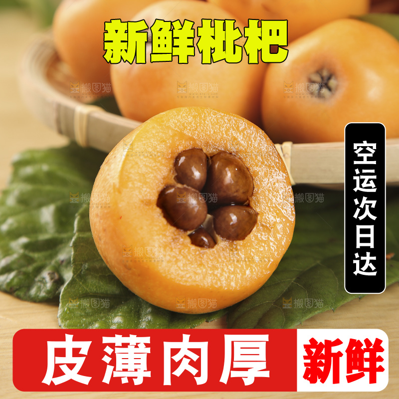 枇杷主图
