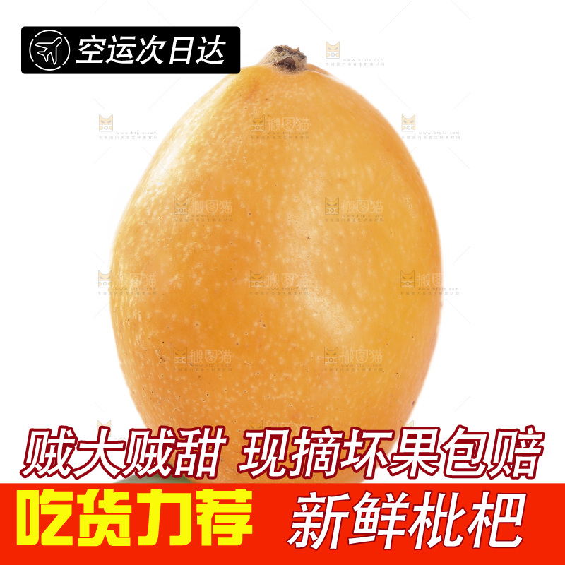 白底上的枇杷