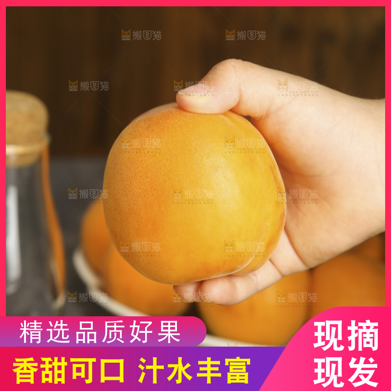 手里拿着大黄杏