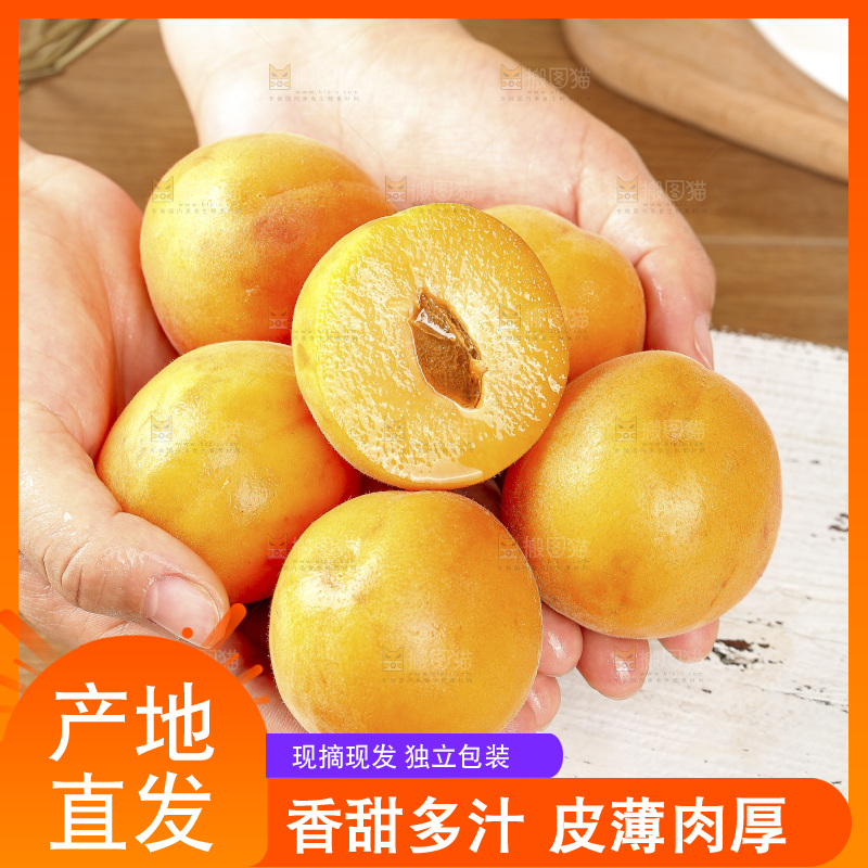 浅底上的大黄杏