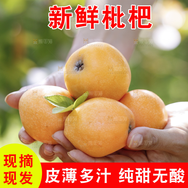 堆放着的新鲜枇杷