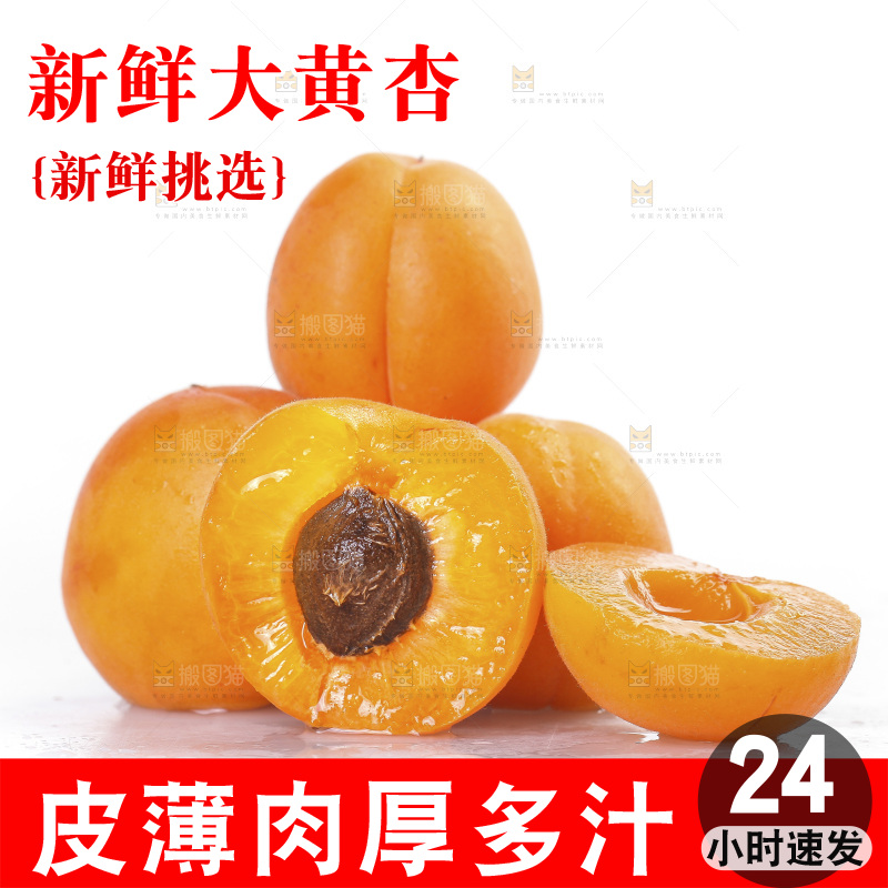 白底上的大黄杏