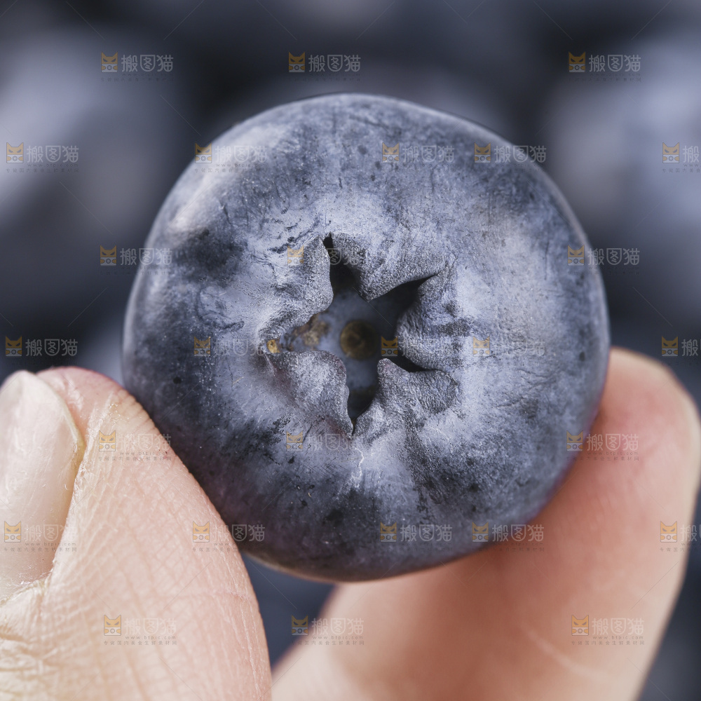 蓝莓