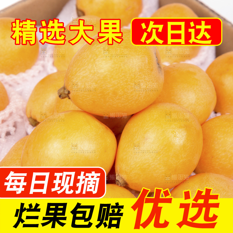 堆放着的新鲜枇杷