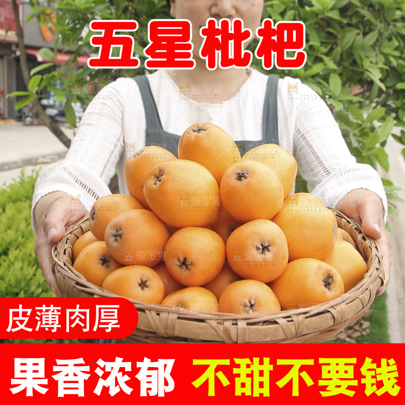 手里拿着五星枇杷