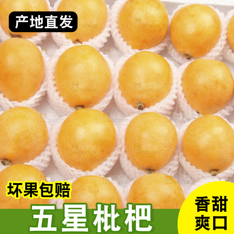堆放着的新鲜枇杷