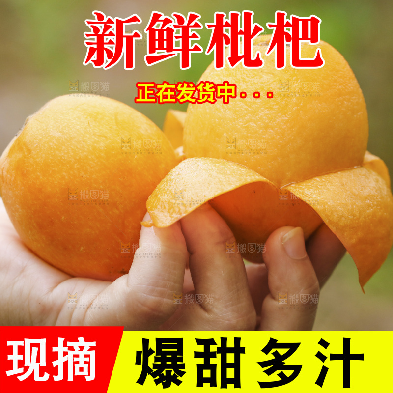 手里拿着五星枇杷