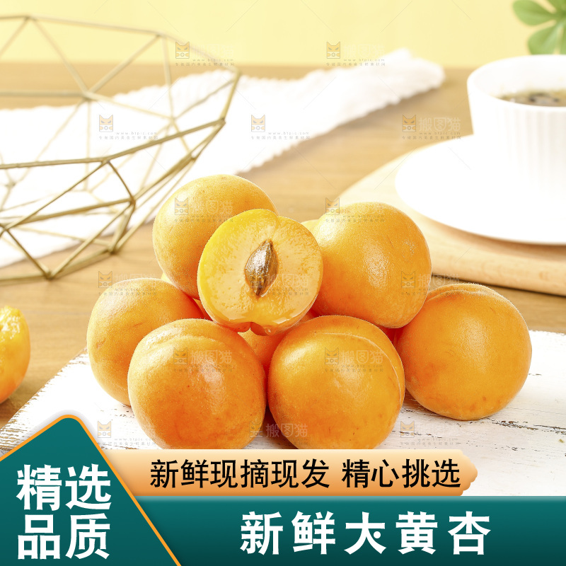 浅底上的大黄杏
