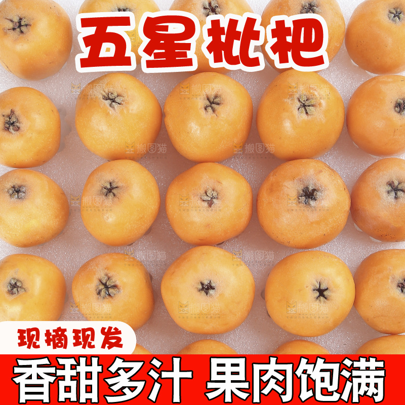 堆放着的新鲜枇杷