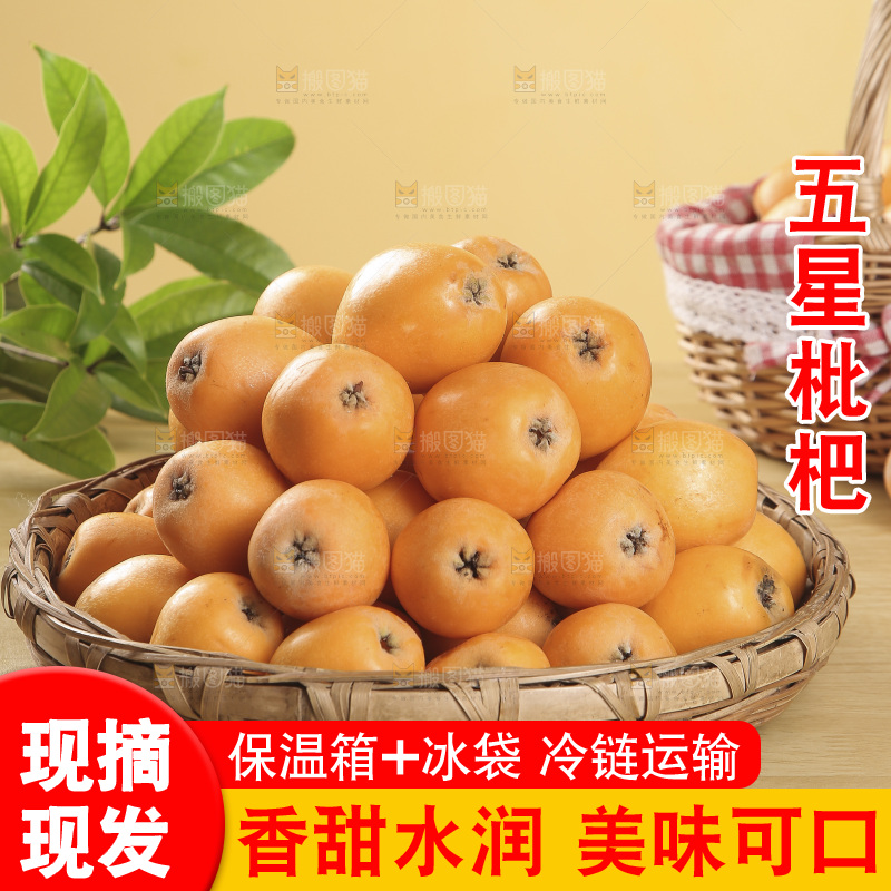 枇杷主图