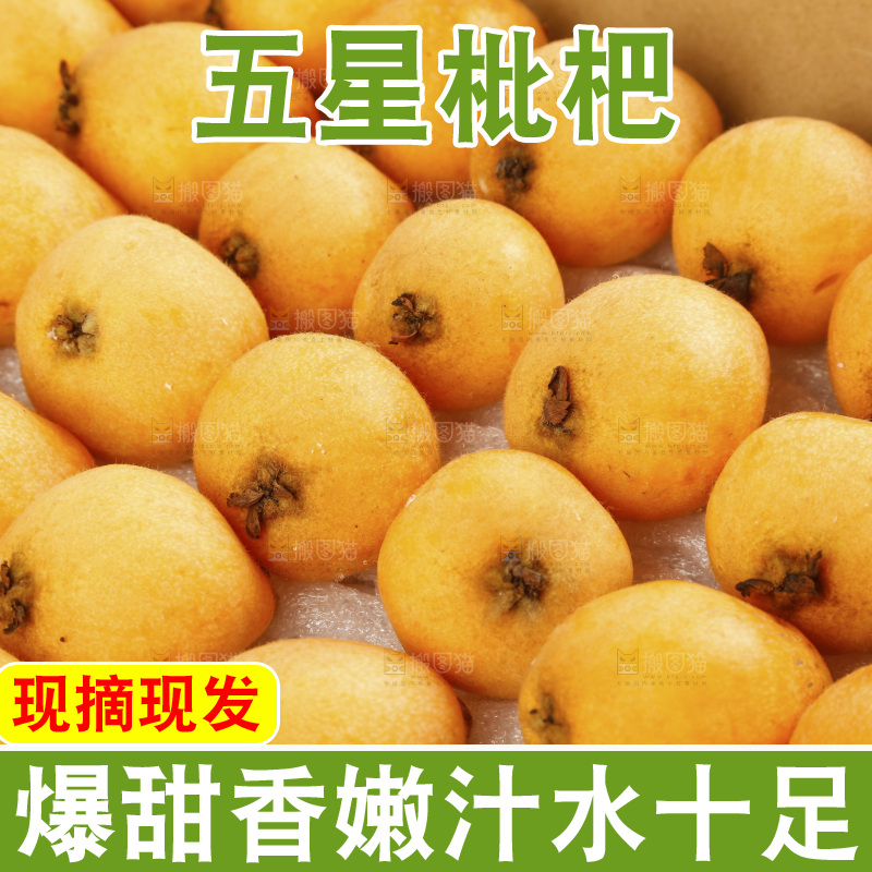堆放着的新鲜枇杷