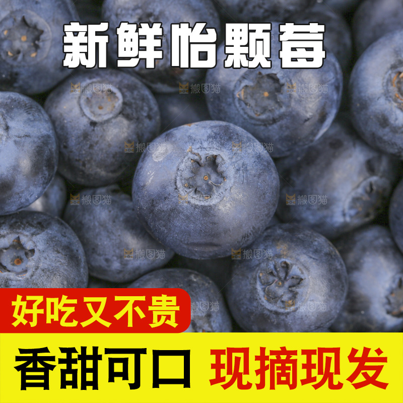 堆放着的新鲜蓝莓