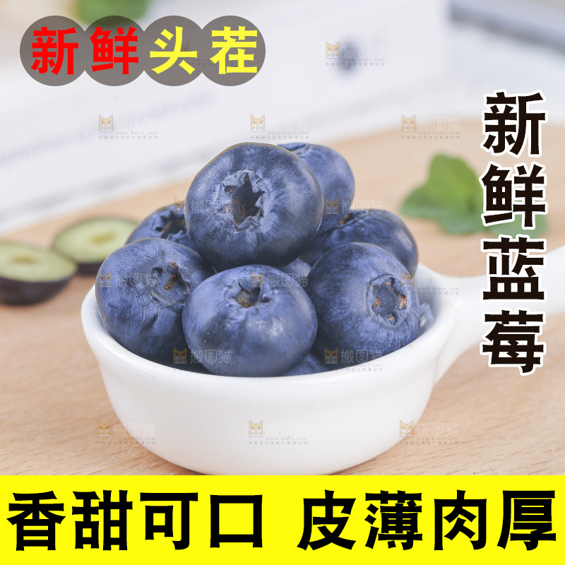 浅底上的怡颗梅